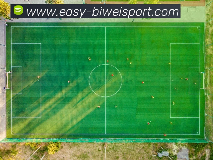 App Interface Preview