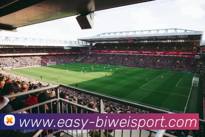 必威体育APP 封面图